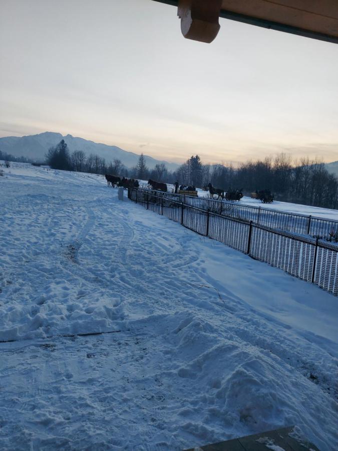 Domek Zakopane Tatrzanski Kacik Apartzakop Extérieur photo