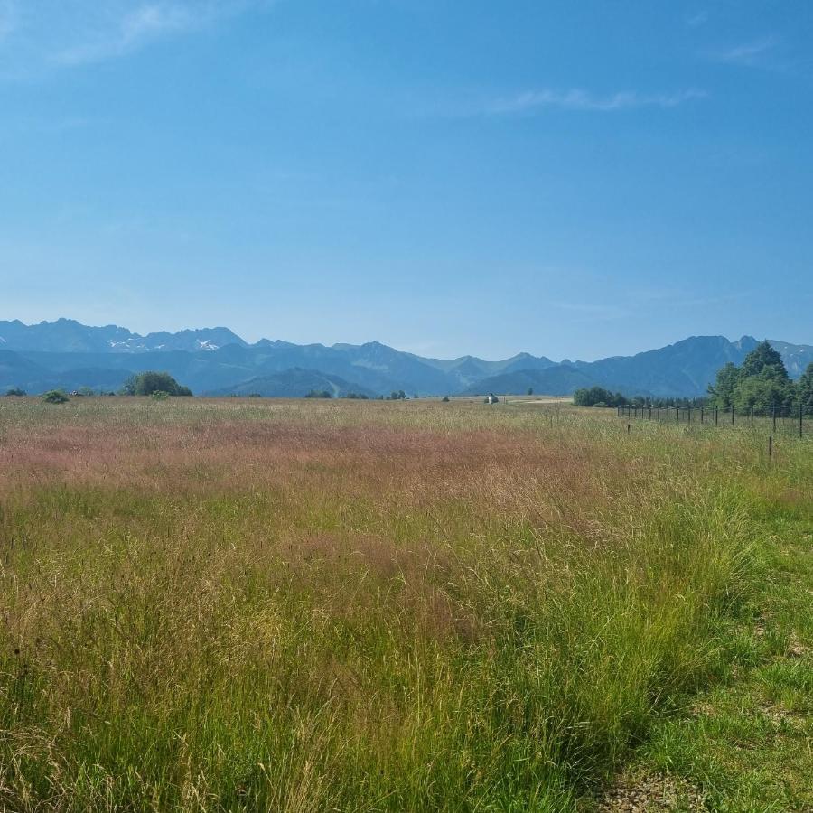 Domek Zakopane Tatrzanski Kacik Apartzakop Extérieur photo